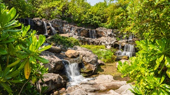 The artificial waterfall at the Stream Walk provides a water source for the stream winding through the Stream Walk.